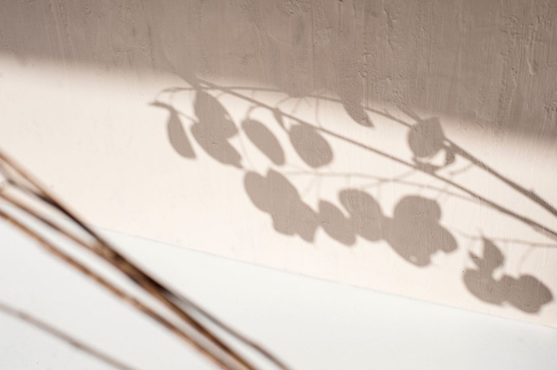Image de Elena Joland